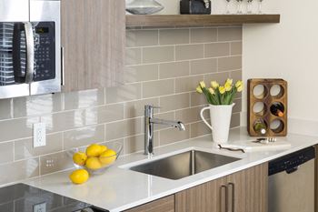 Gunbarrel center community sink